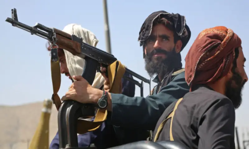 afghan
