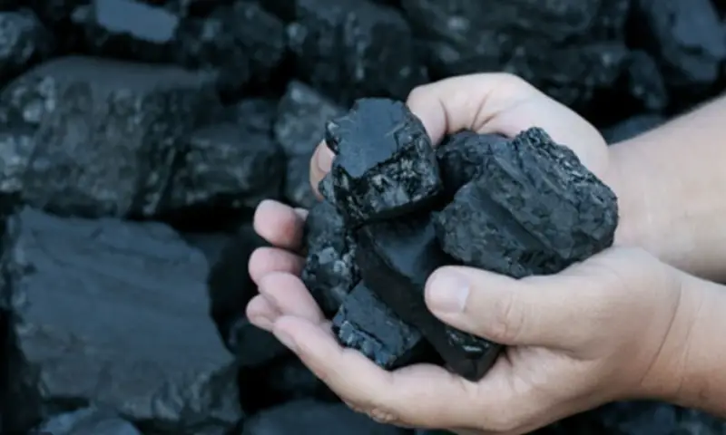 Coal