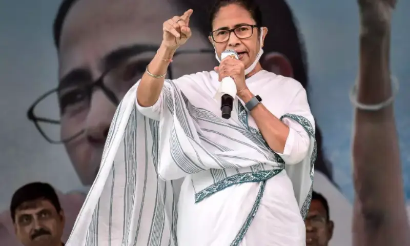 mamta