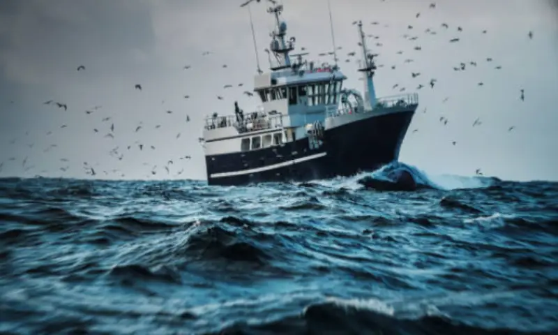 Sea