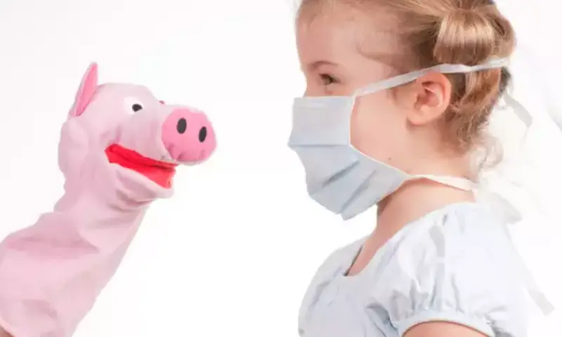 swine