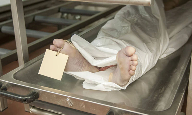 Dead body on Starcher