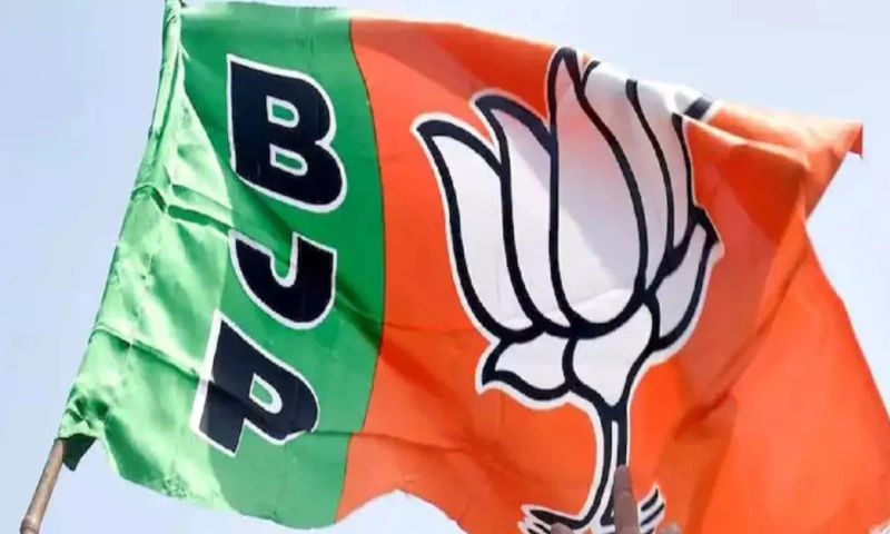 BJP Indian Political party flag. with green and bhagwa color and lotus.